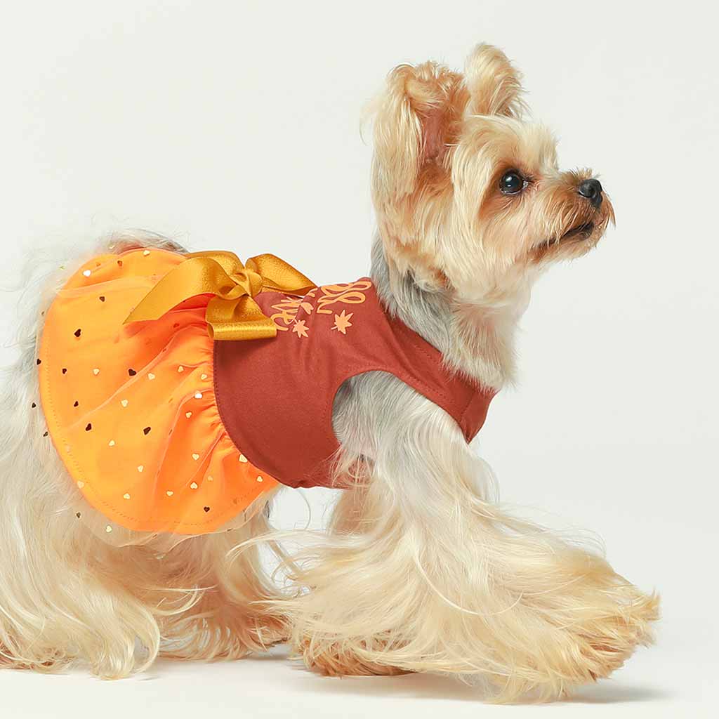 Fall in Love Dress
