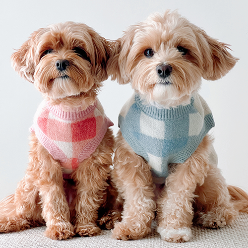Take a Bow Sweater: Pink