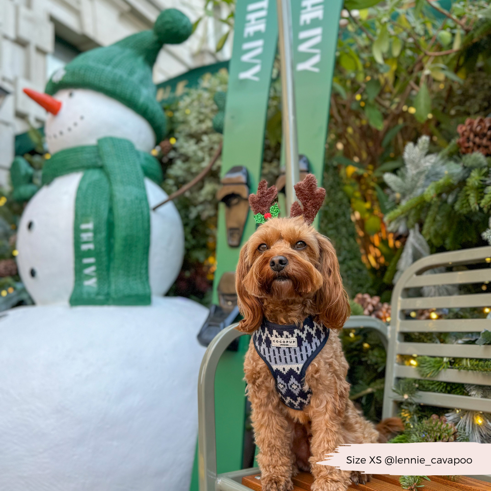 Arnés ajustable para perros Chalet Pup