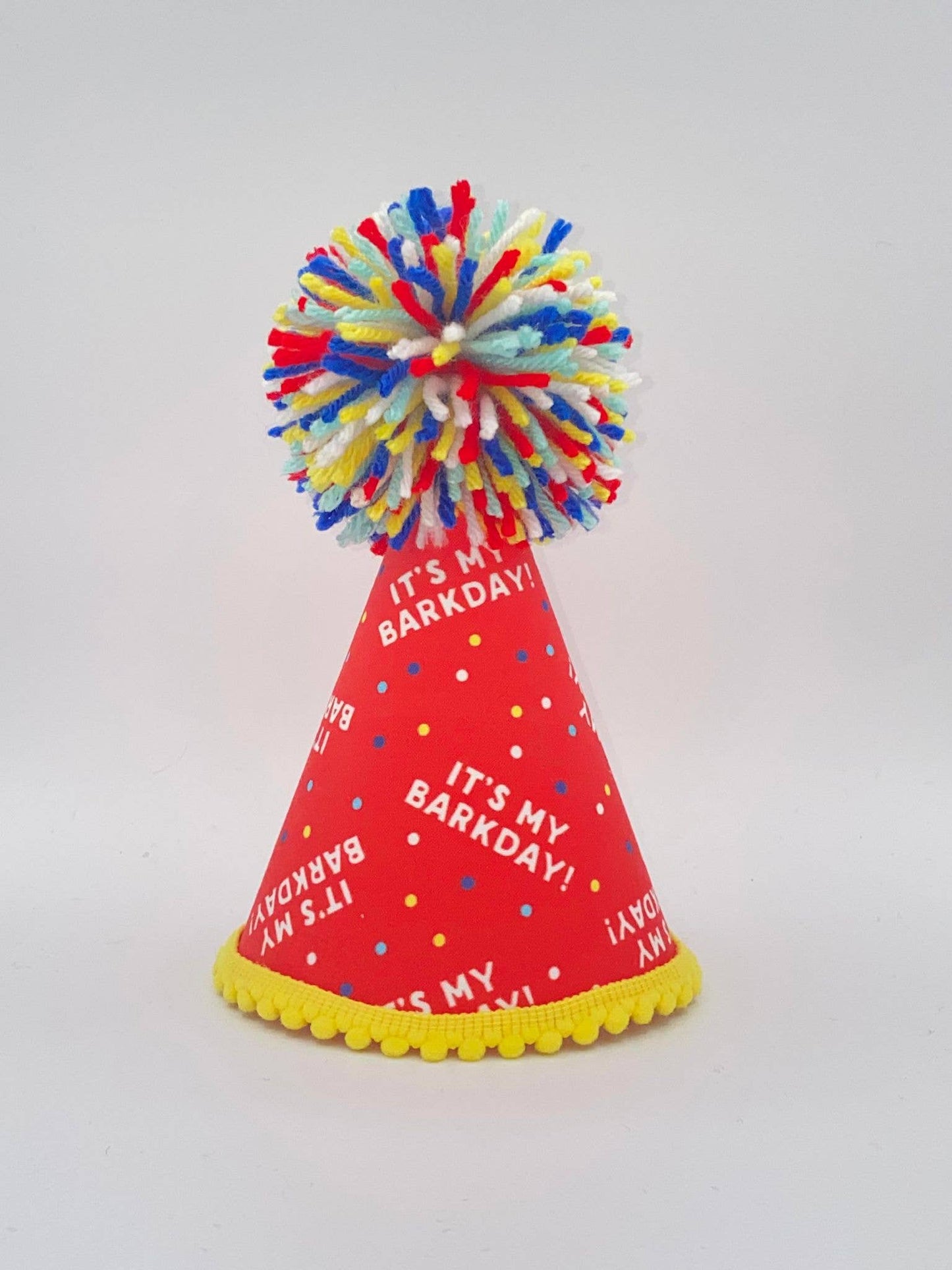 It's My Barkday Party Hat