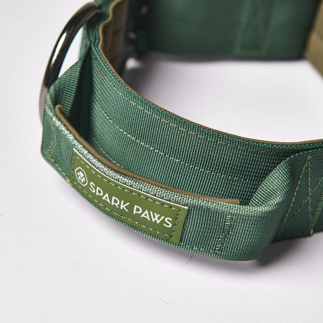 Tactical Dog Collar - Army Green