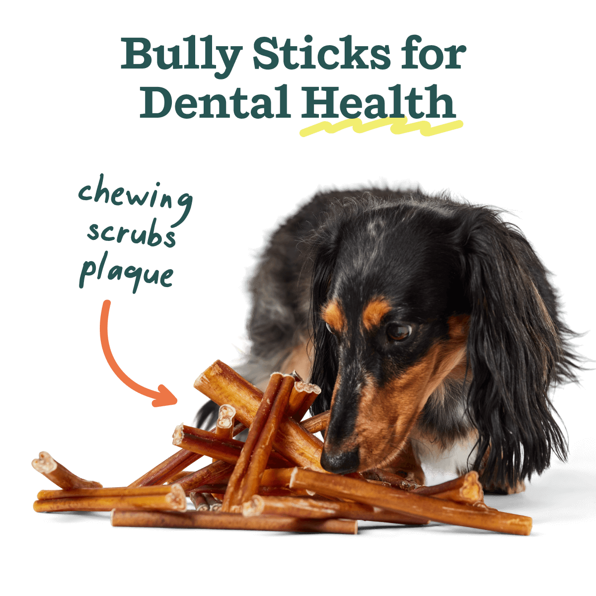 BullySafe Chews - BullySticks Beef