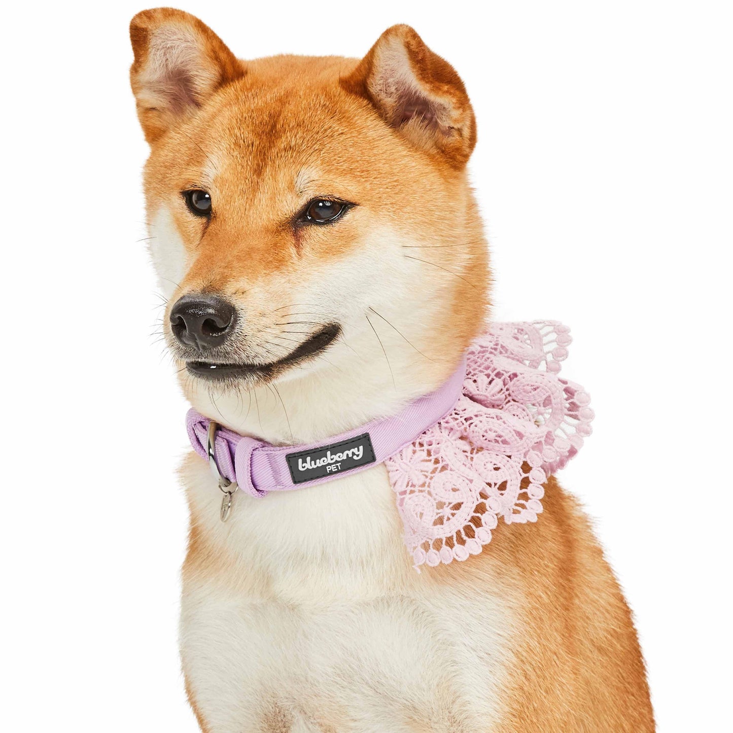 Cute Floral Lace Dog Collar - Lavender