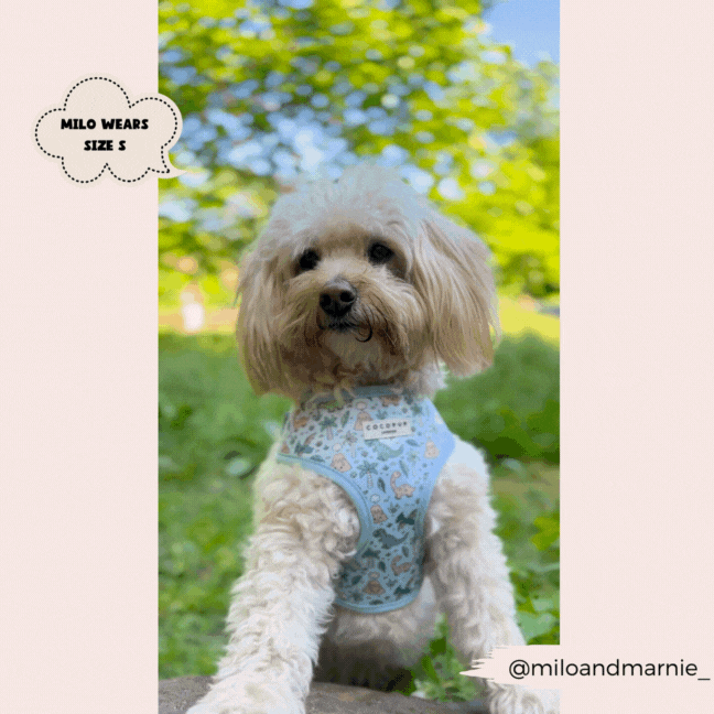 Dinopaws Adjustable Neck Dog Harness
