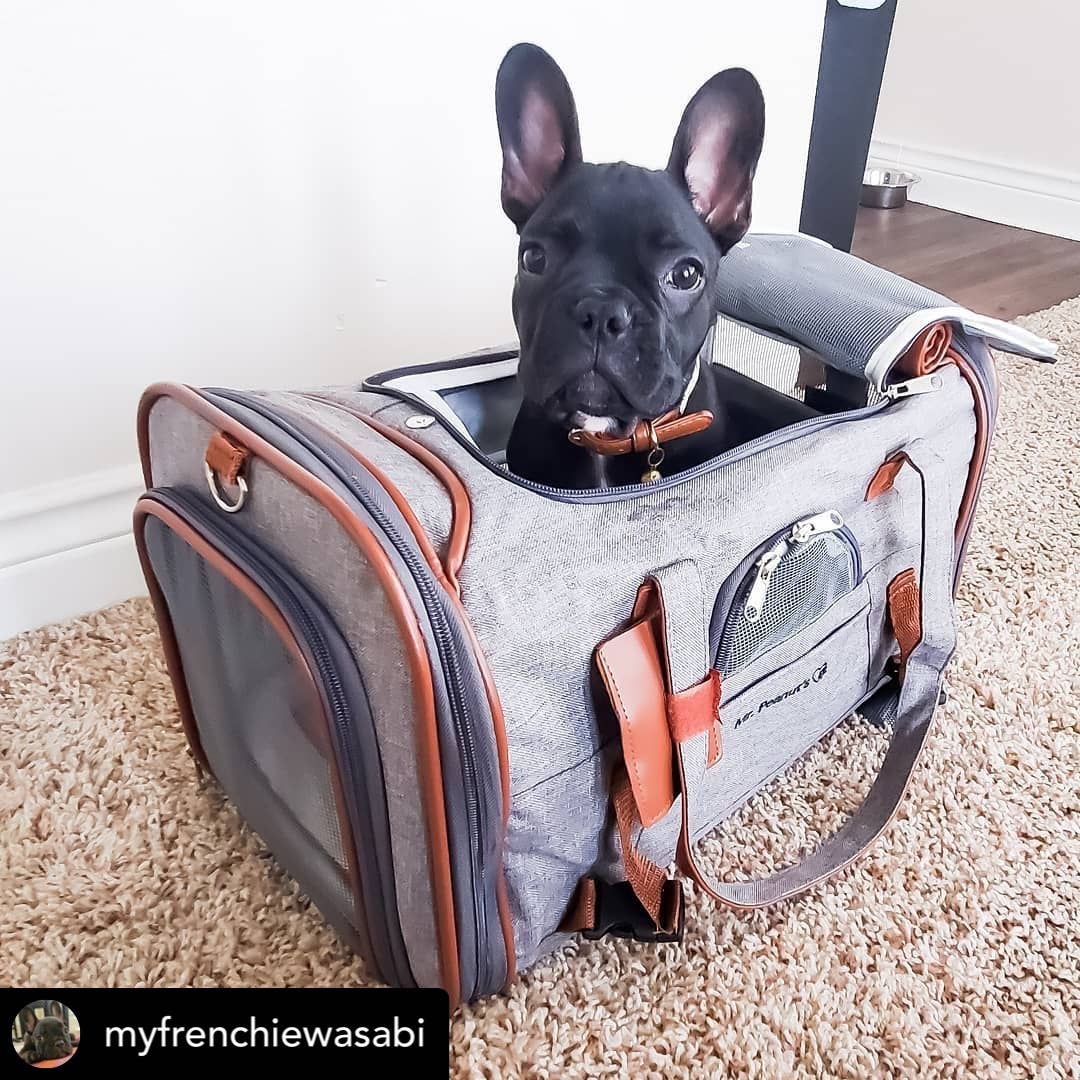 Mr. Peanut's Gold Series Airline Capable Pet Carrier - Deja Blue