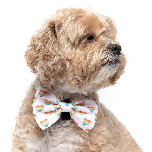 Love is Love - Dog Collar Bow Tie