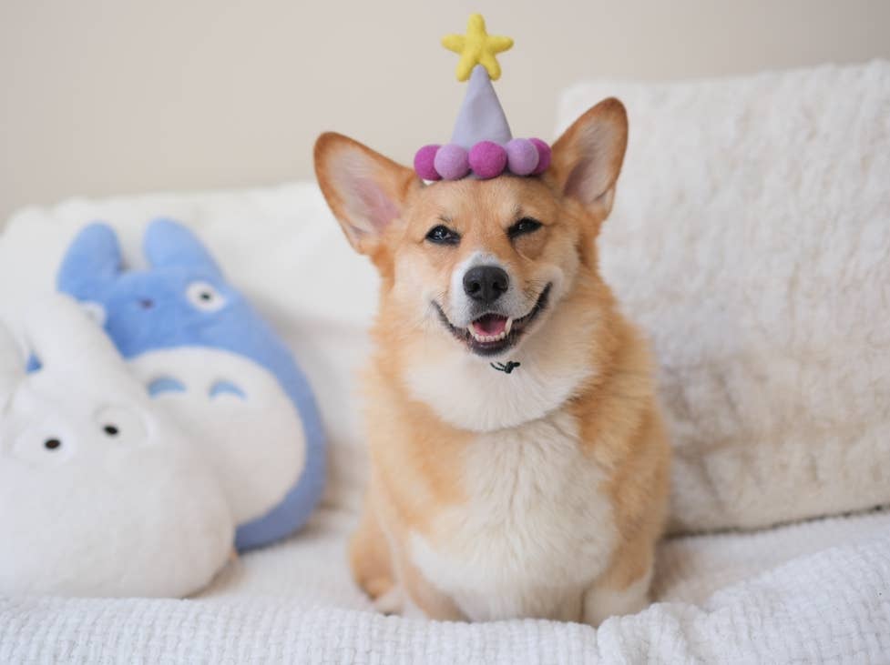Lilac Purple Birthday Hat