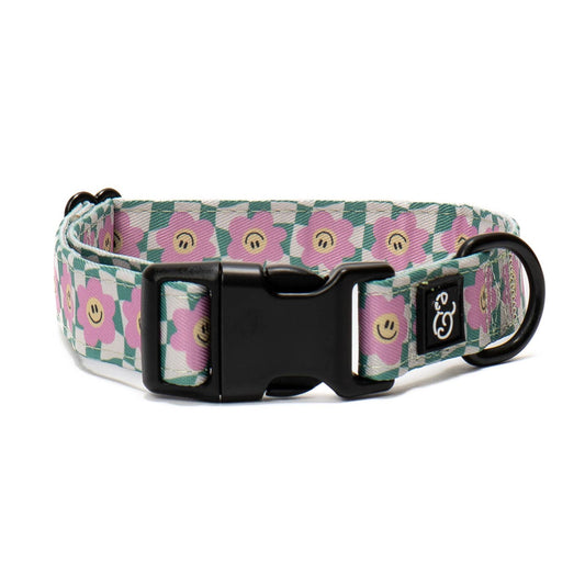 Just Chill Dog Collar