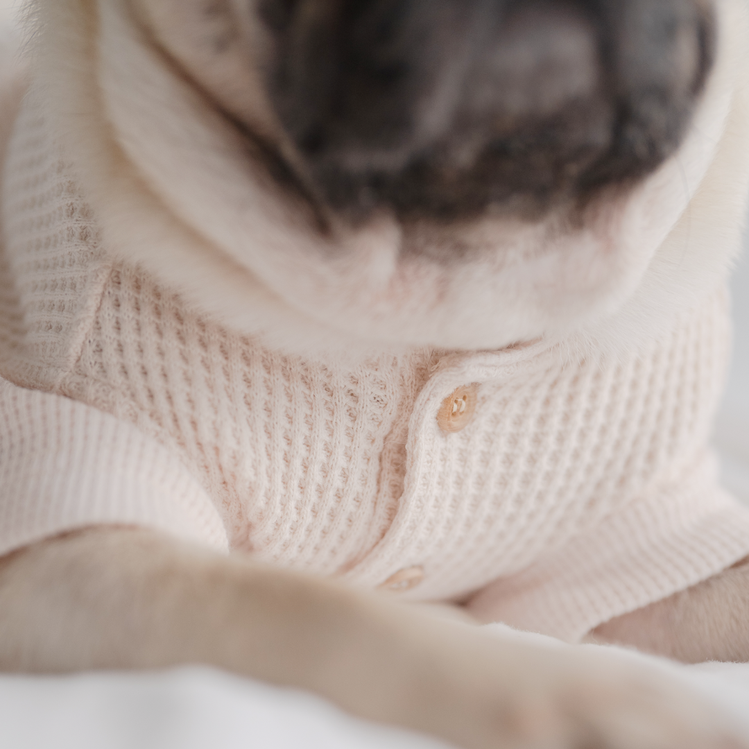 Waffle Dog Shirt