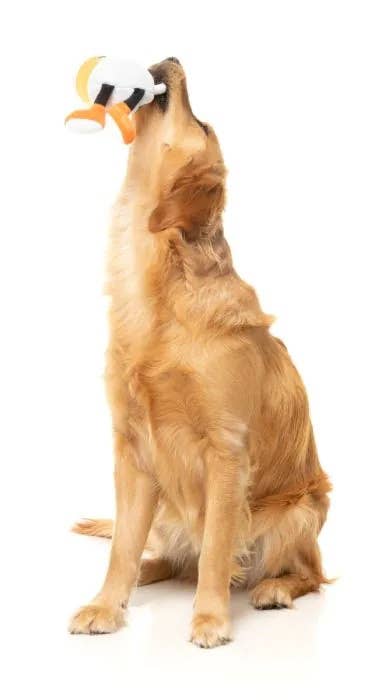 Steinzy Plush Dog Toy