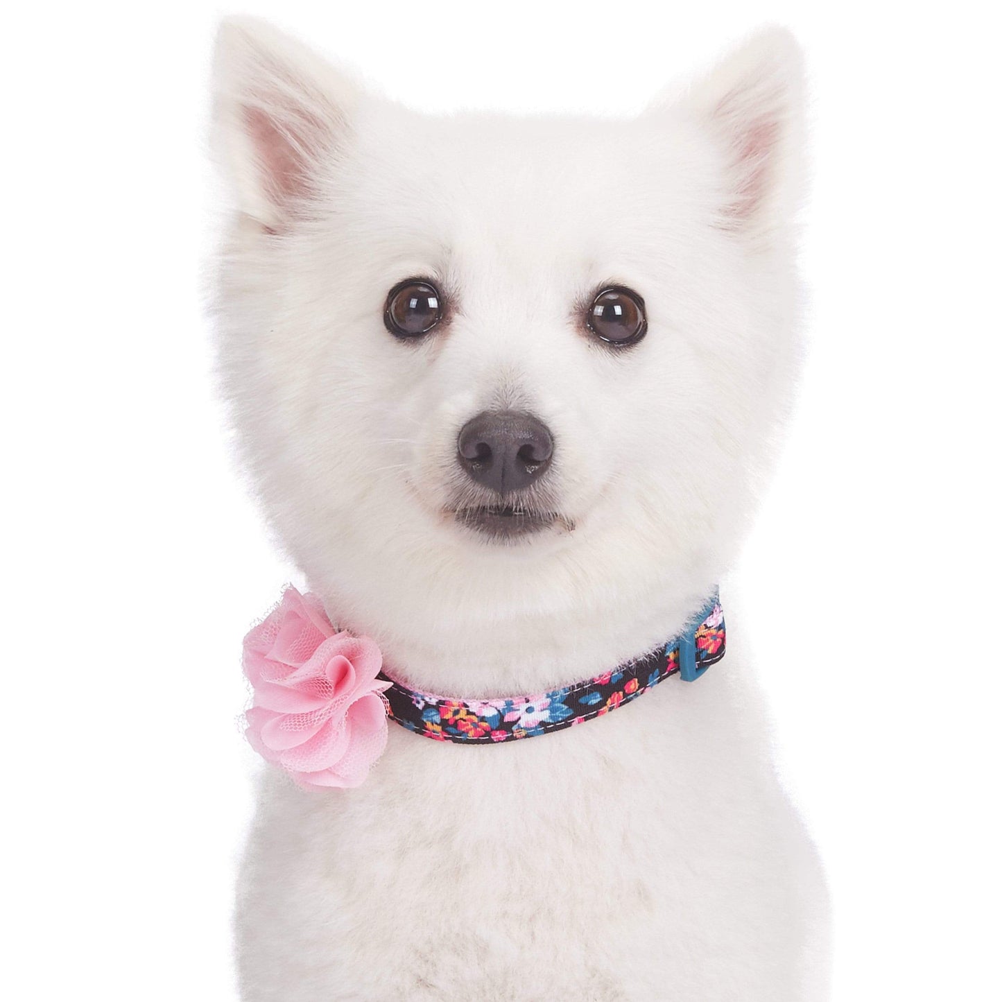 Floral Dog Collar with Flower - Assorted Colors