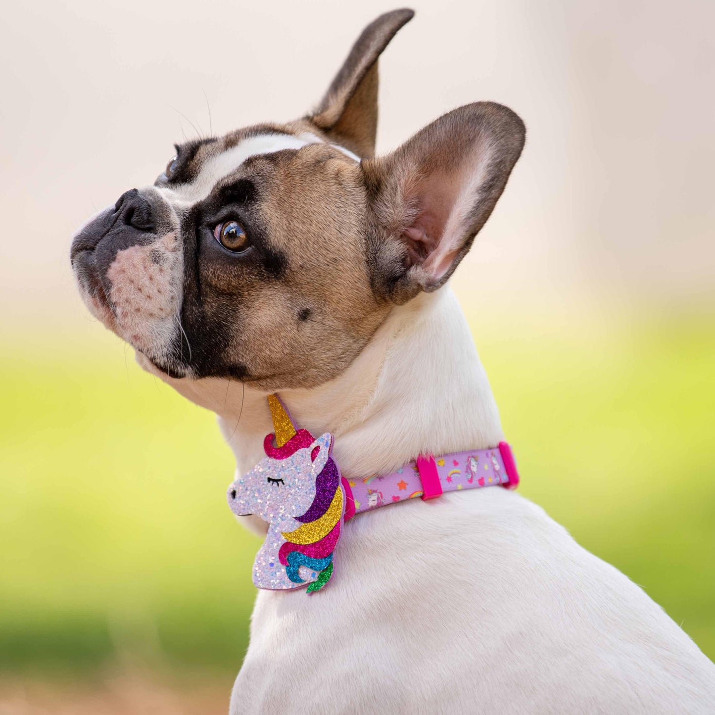 Dog Collar - Dreamy Unicorn