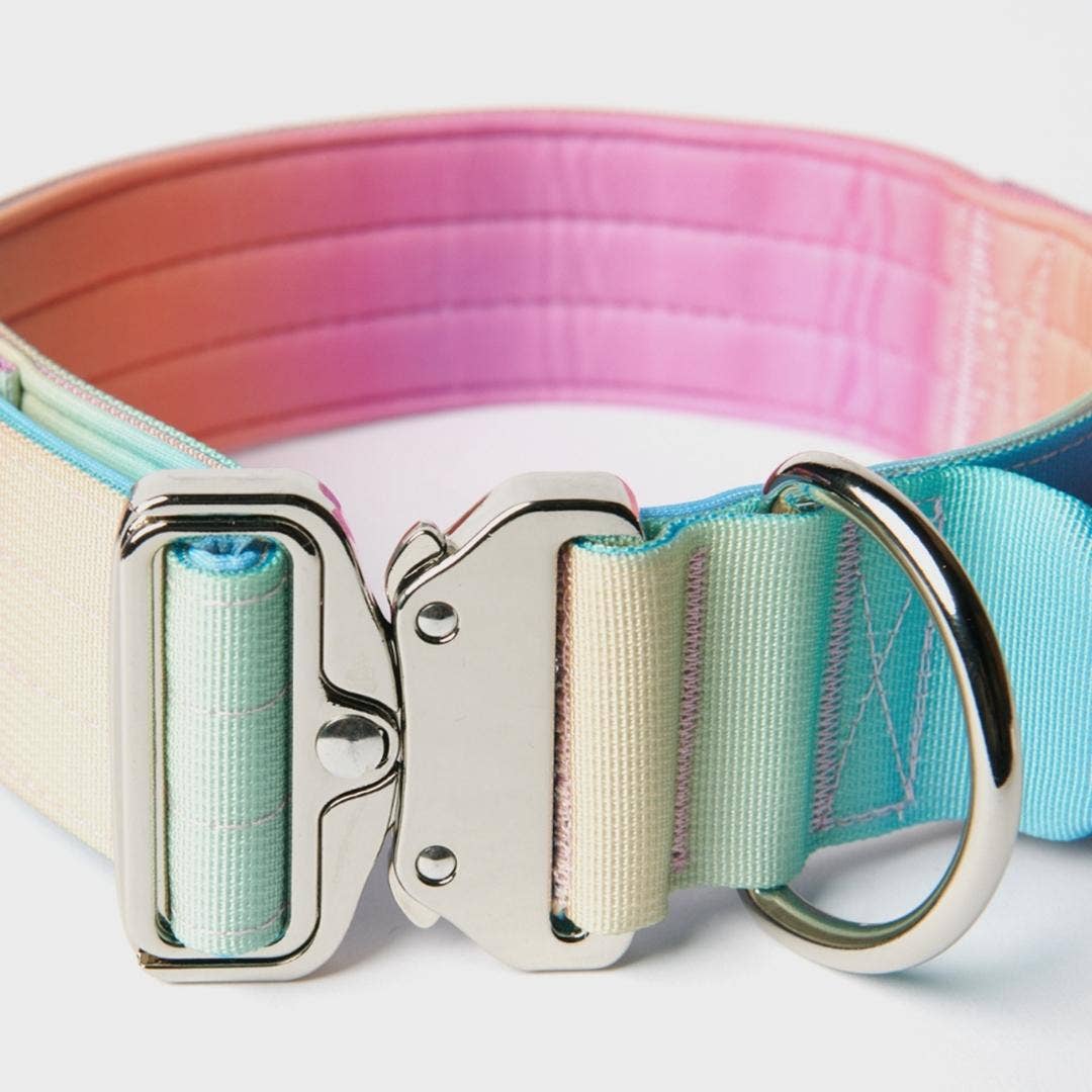Tactical Dog Collar - Pastel Icing