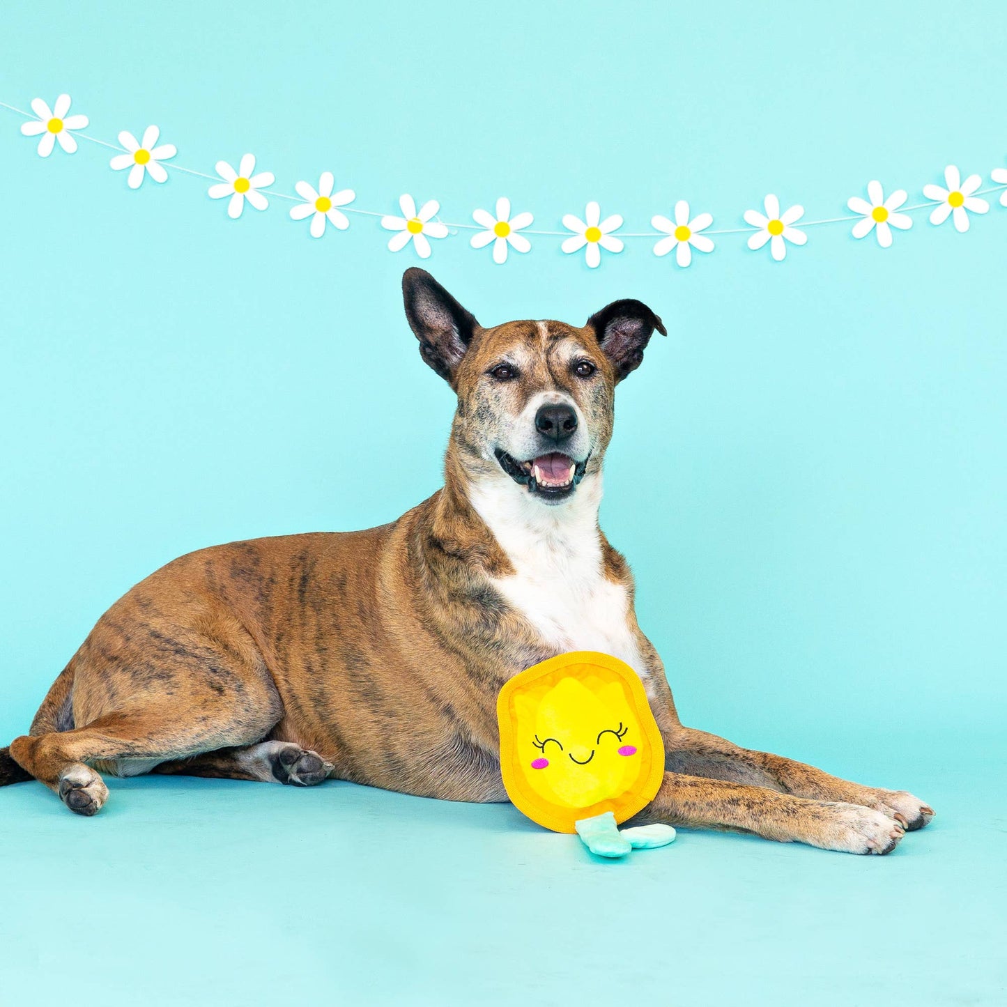 In Full Bloom Durable Plush Dog Toy