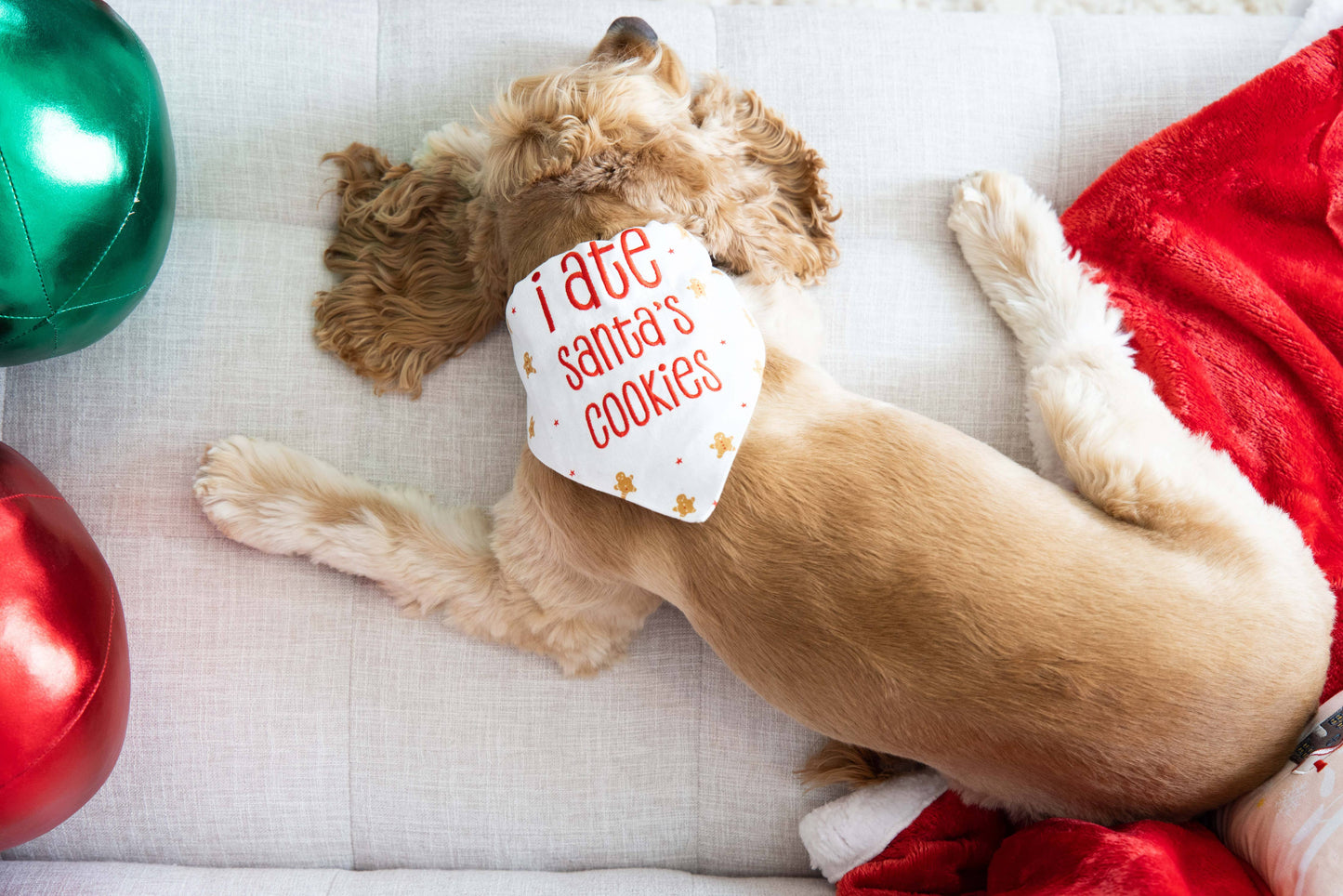 "I Ate Santa's Cookies" Christmas Dog Bandana