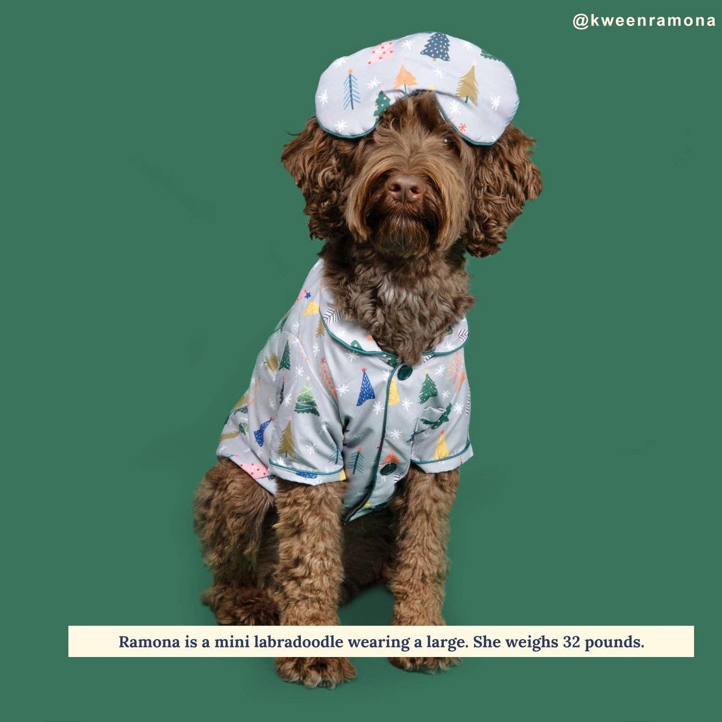 The Tree-mendous Pajamas + Human Eye Pillow