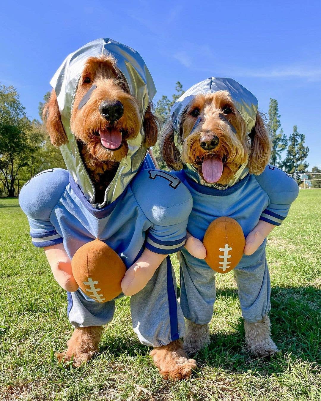 Disfraz de perro de Halloween de QuarterBark