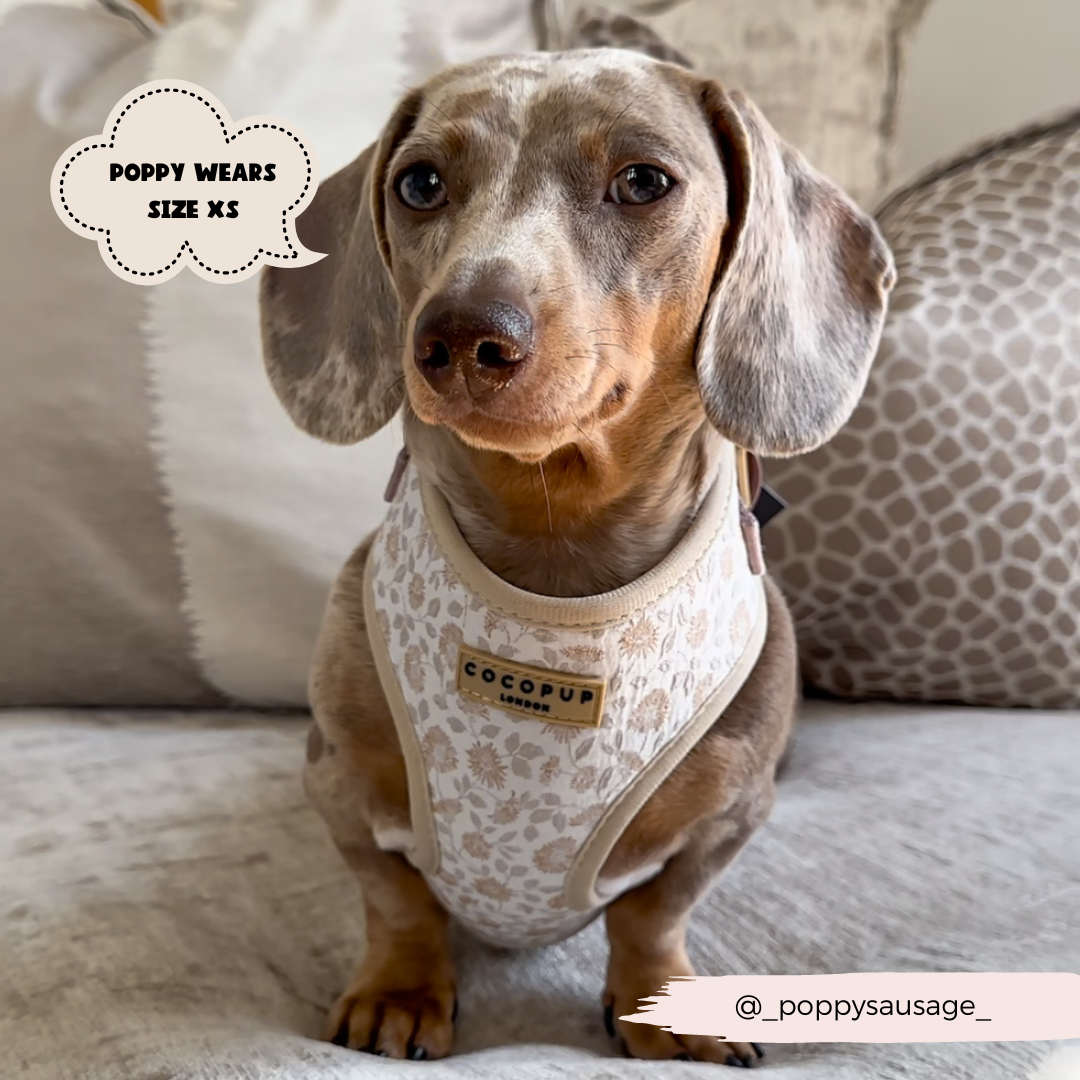 Luxe Adjustable Neck Harness - Garden Meadow