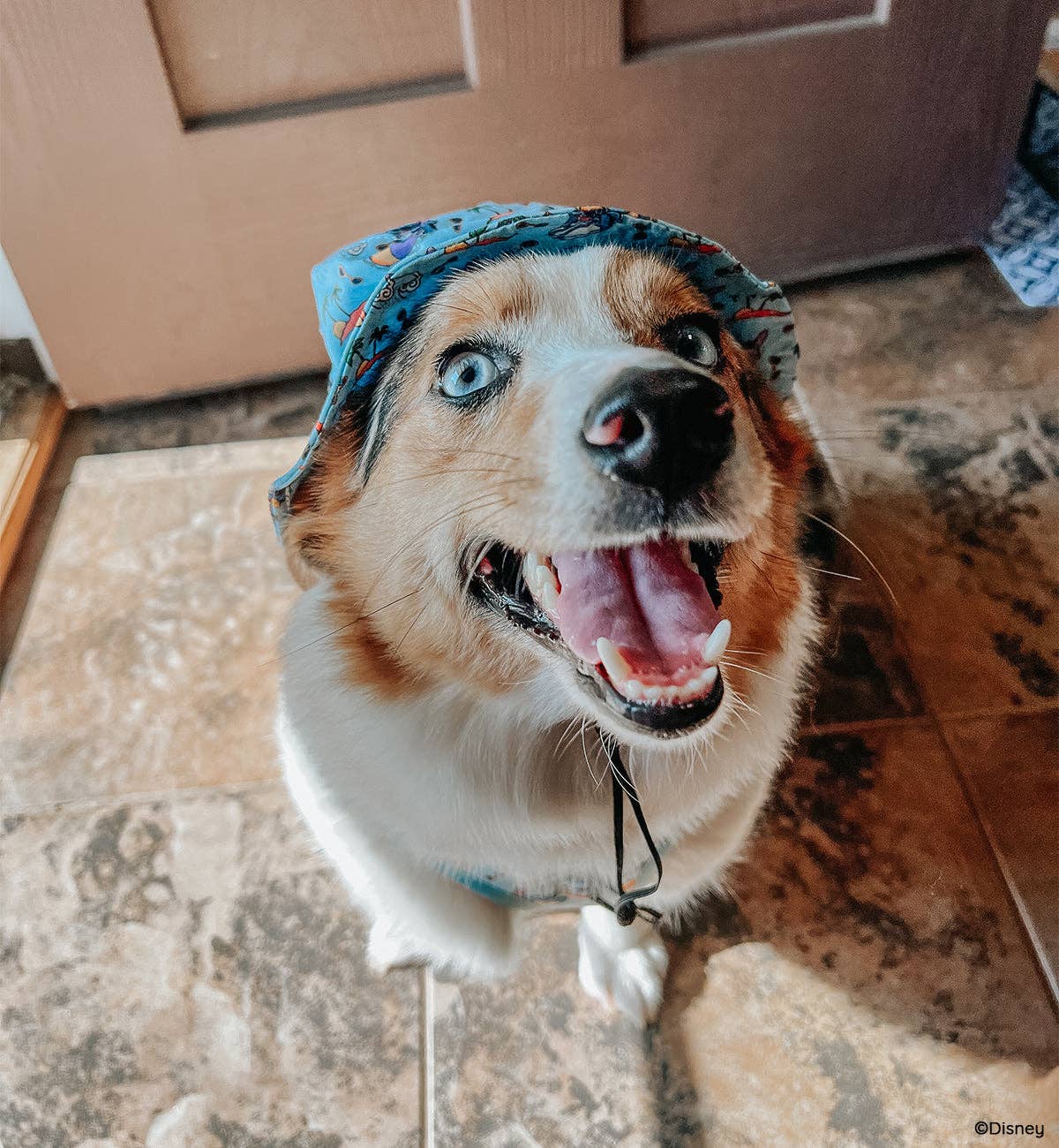 Dog Bucket Hat - Disney's Stitch