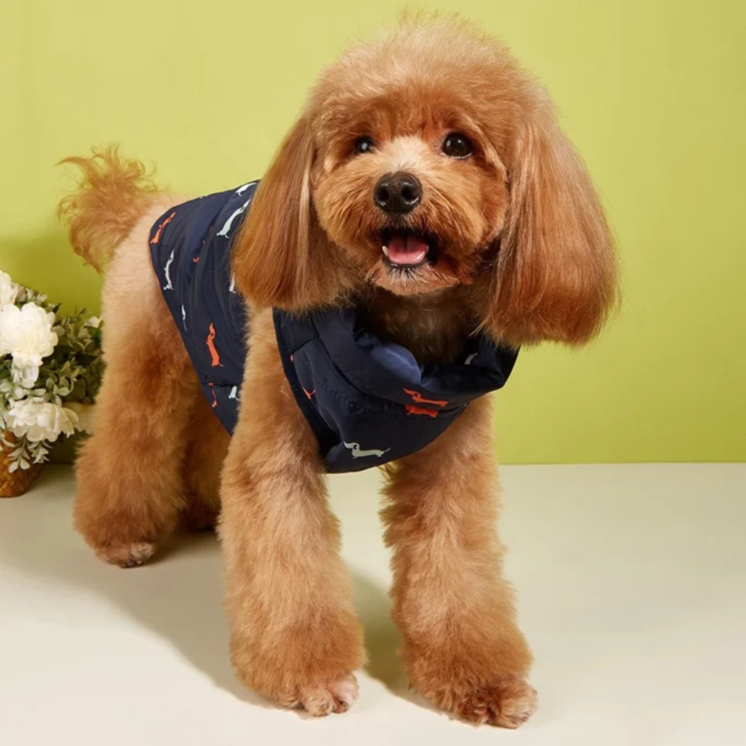 Doxie Dog Vest