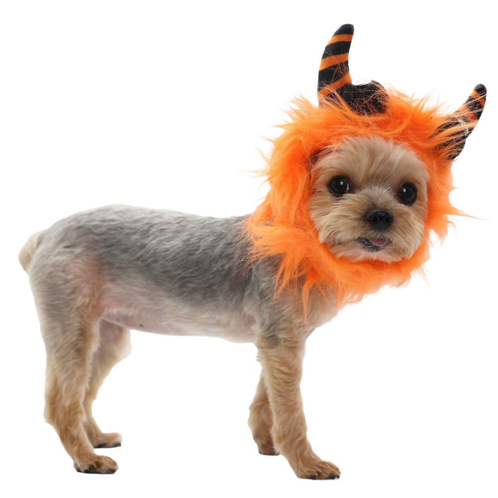 Furry Monster Dog Hat