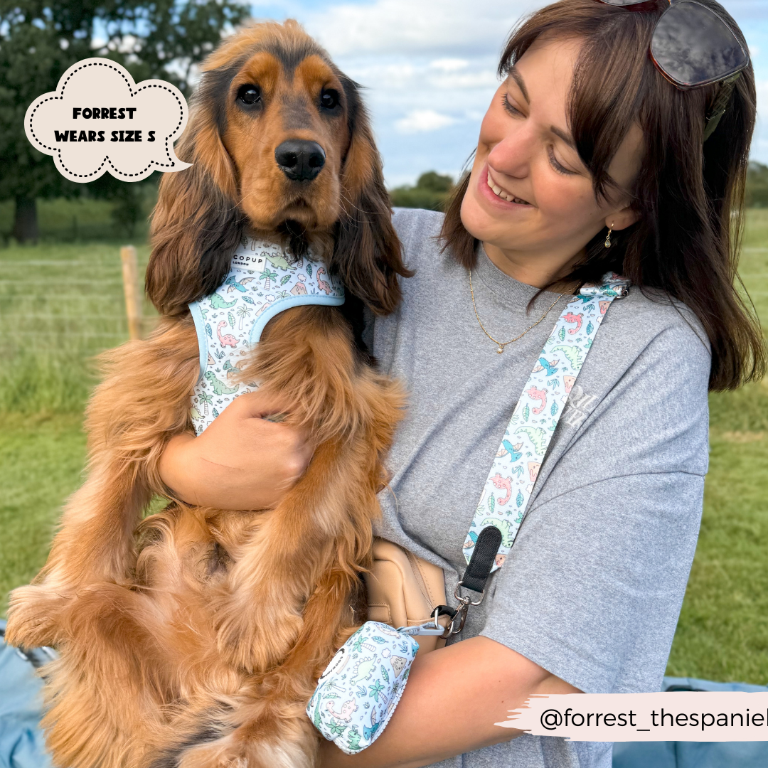 Dinopaws Adjustable Neck Dog Harness