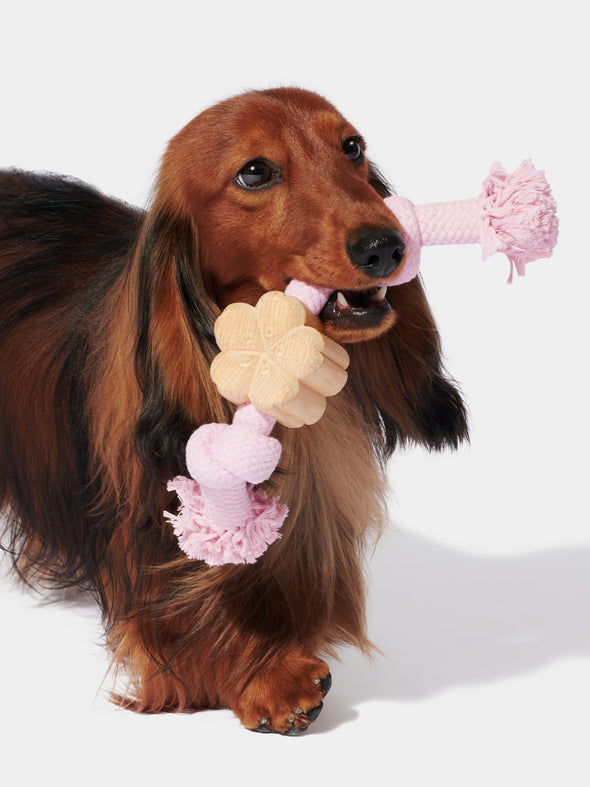 Cherry Blossom Knot Rope Toy