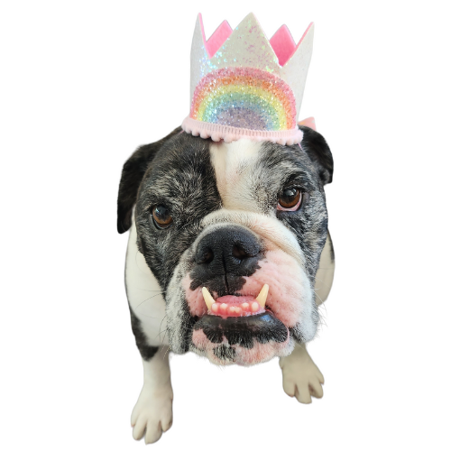 Celebration Crown