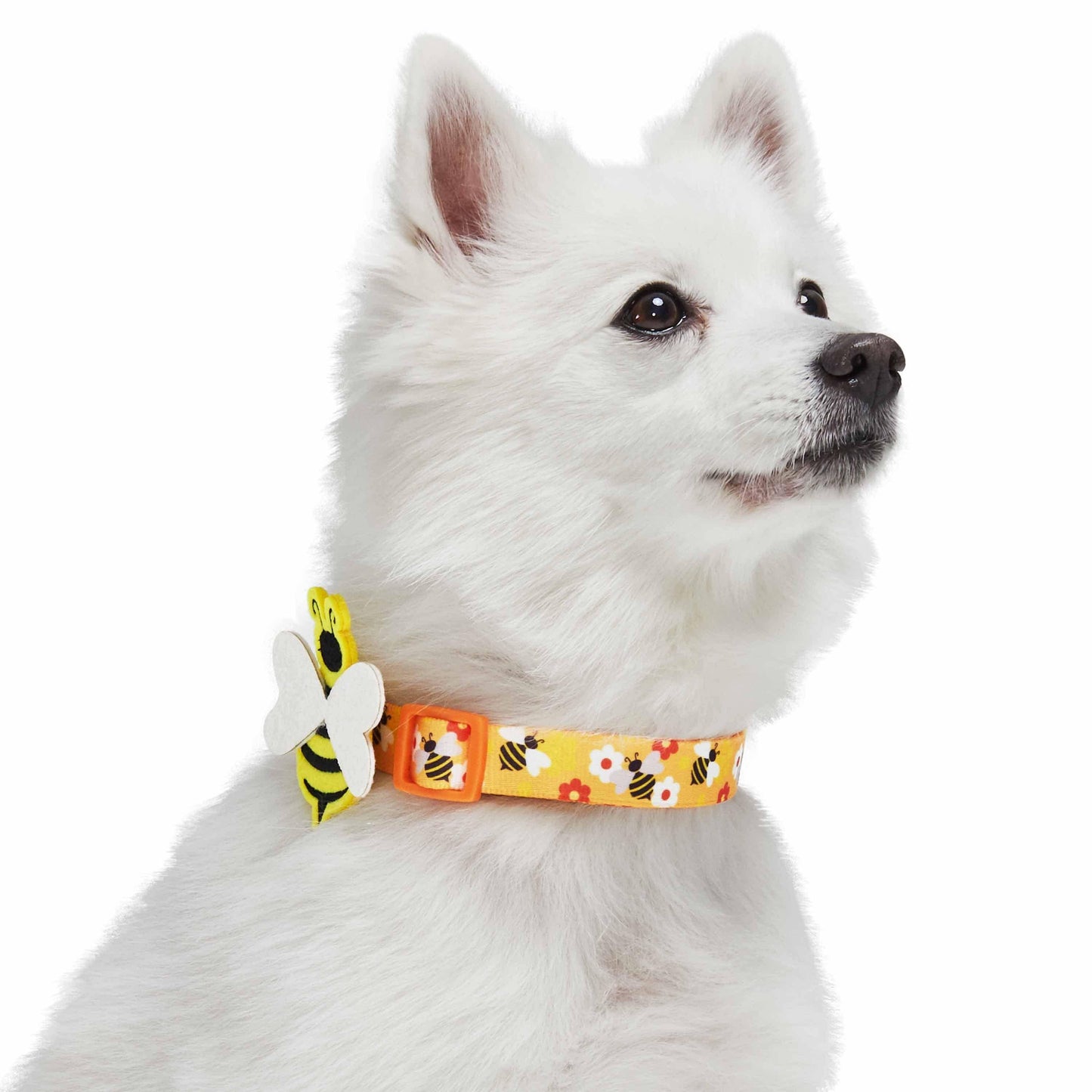 Dog Collar - Busy Bees