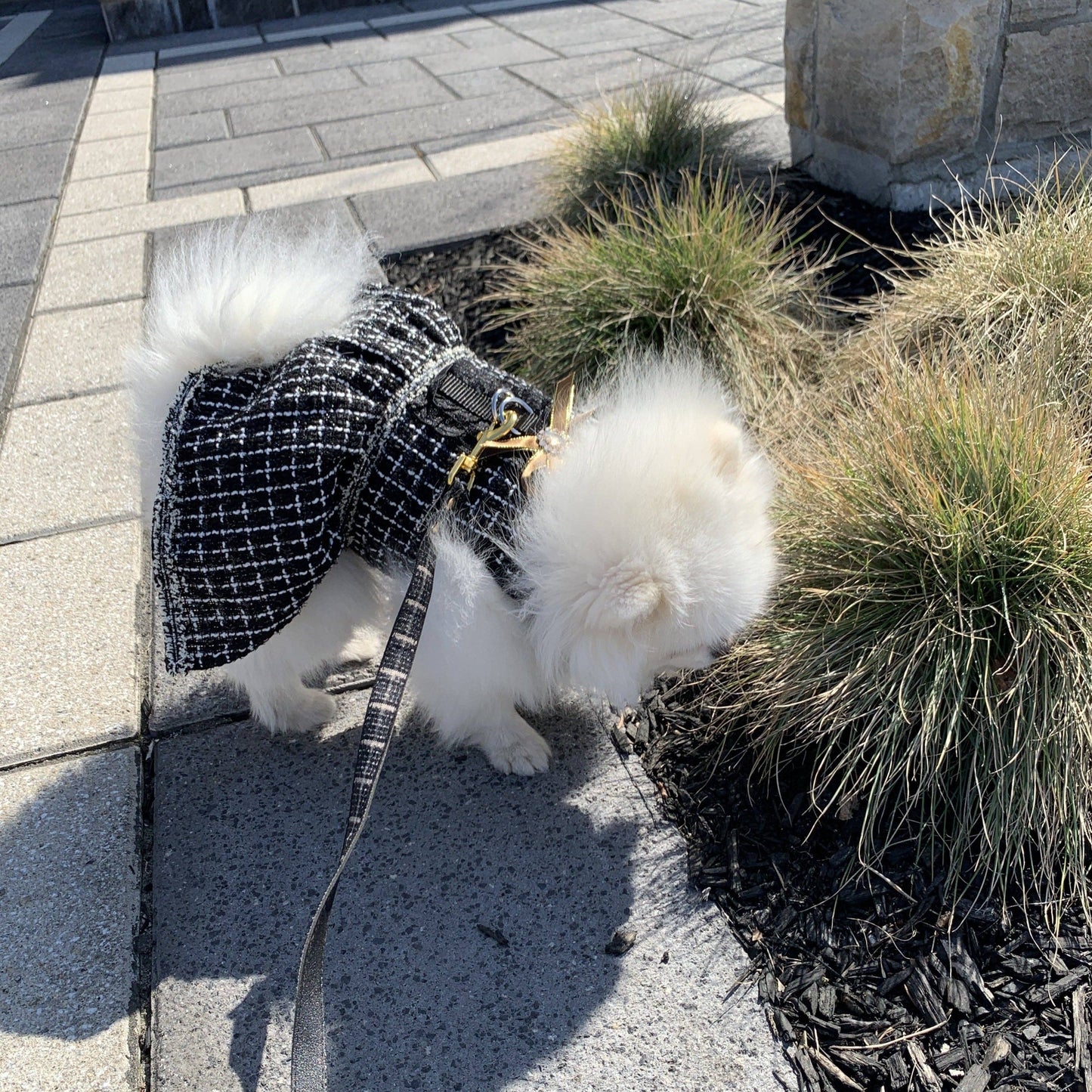 Fashion Tweed Dog Harness in Dress Style