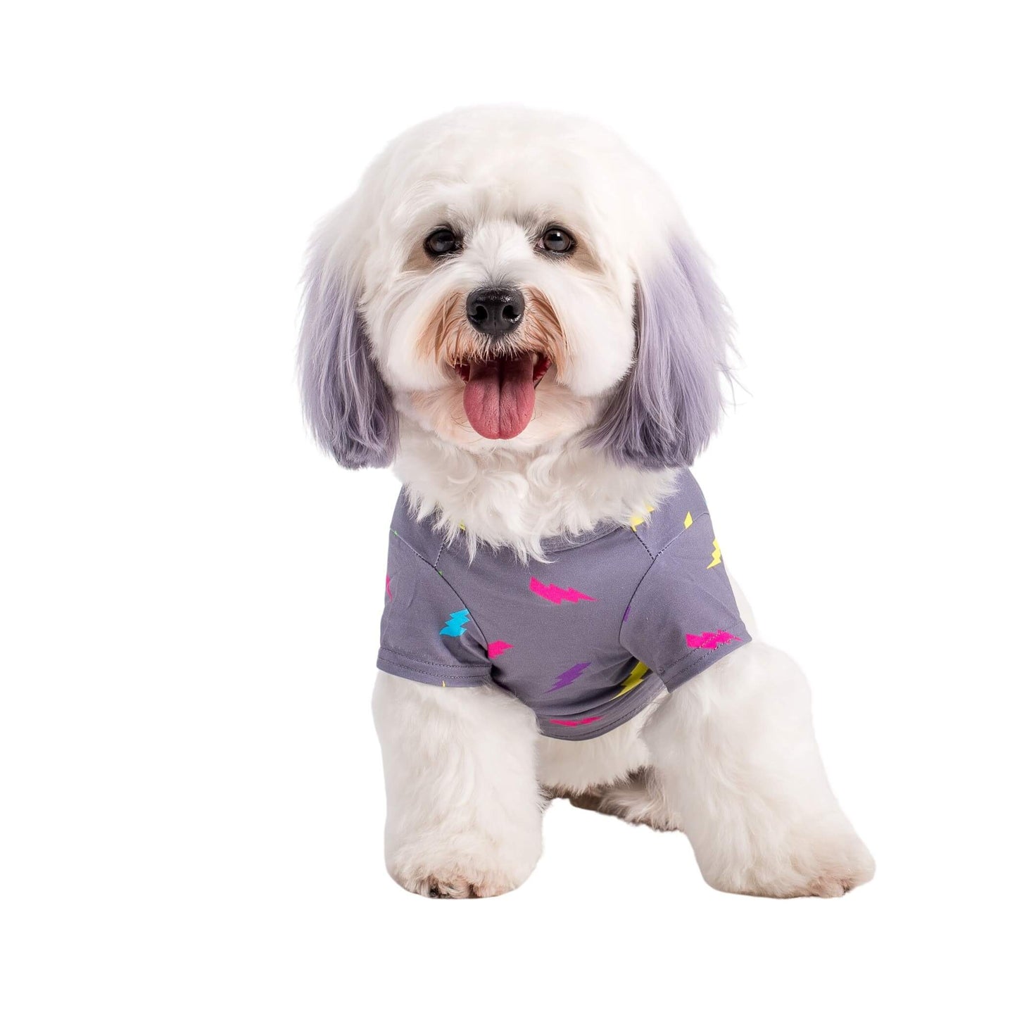Electric Energy Dog Shirt
