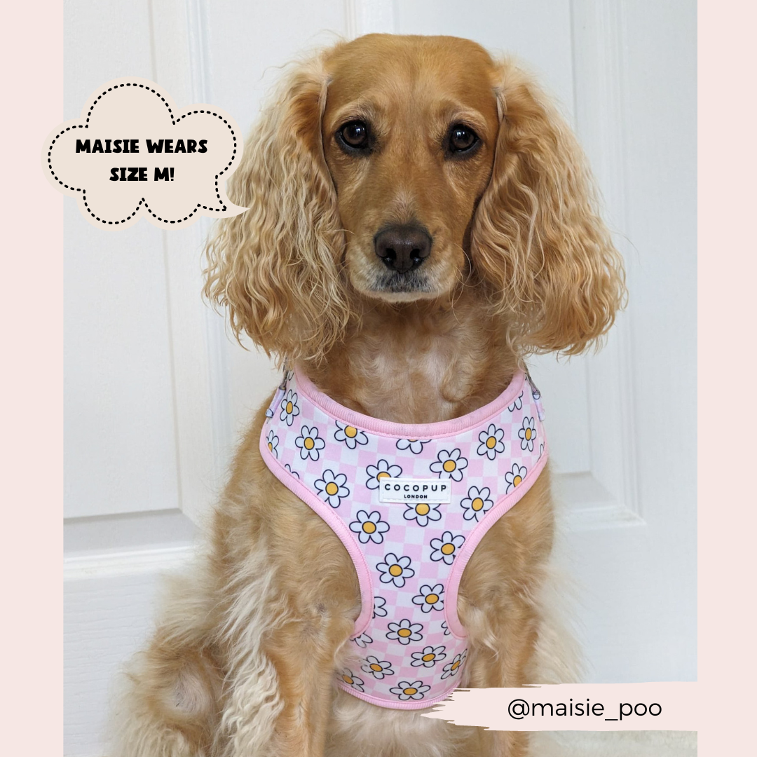 Daisy Gingham Rave Adjustable Harness