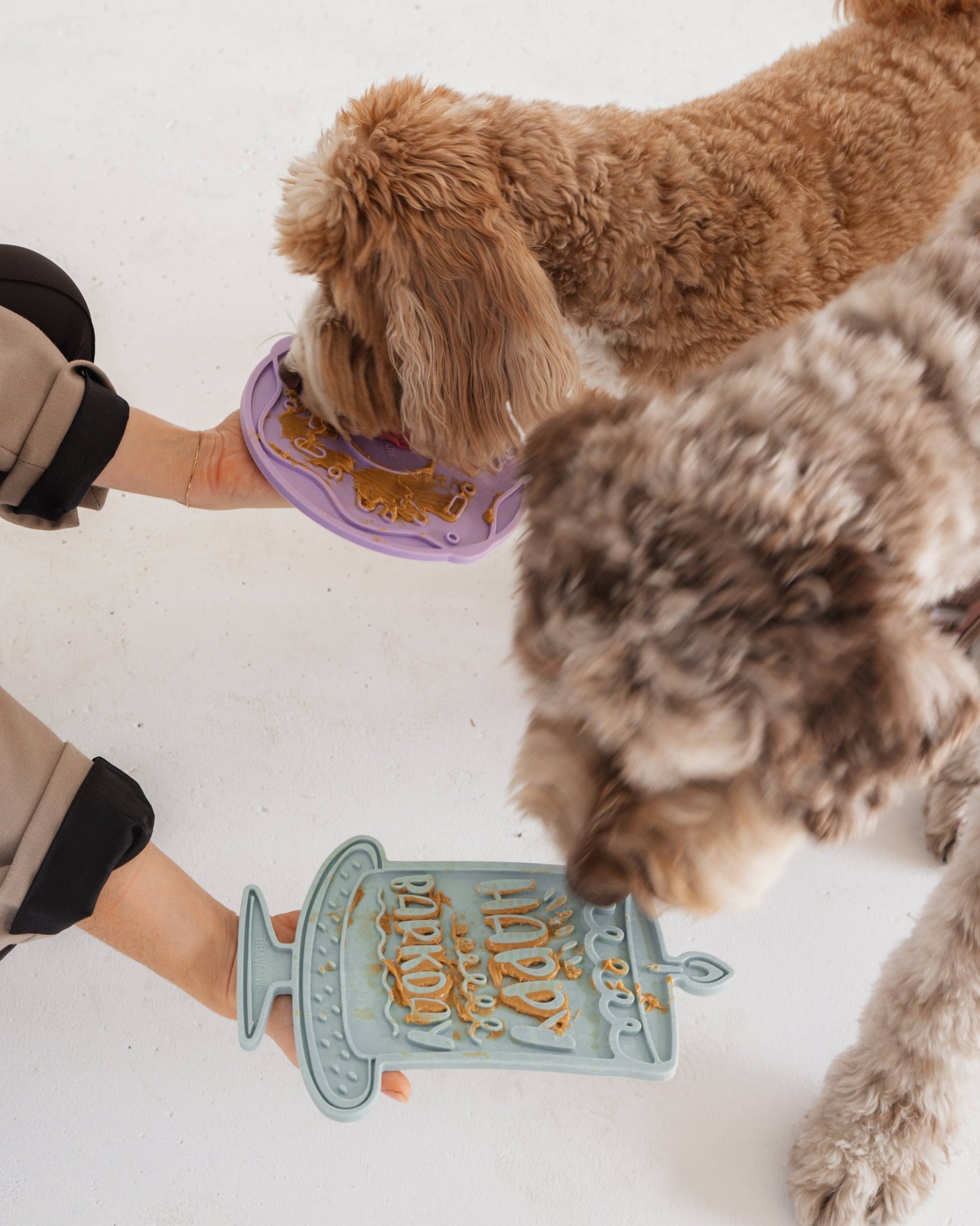 Barkday Bash Lick Mat