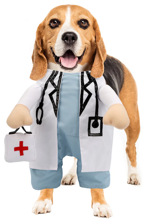 Disfraz de doctor para perro para Halloween