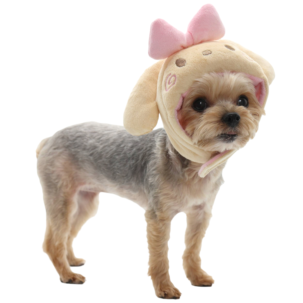 Sombrero de cachorro