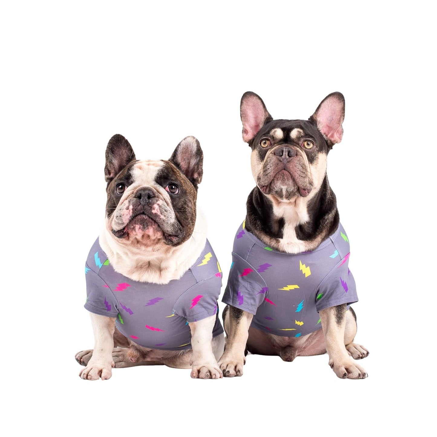 Electric Energy Dog Shirt
