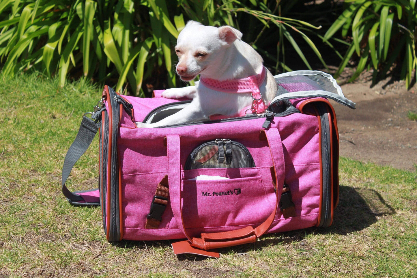 Mr. Peanut's Gold Series Airline Capable Pet Carrier - Deja Blue