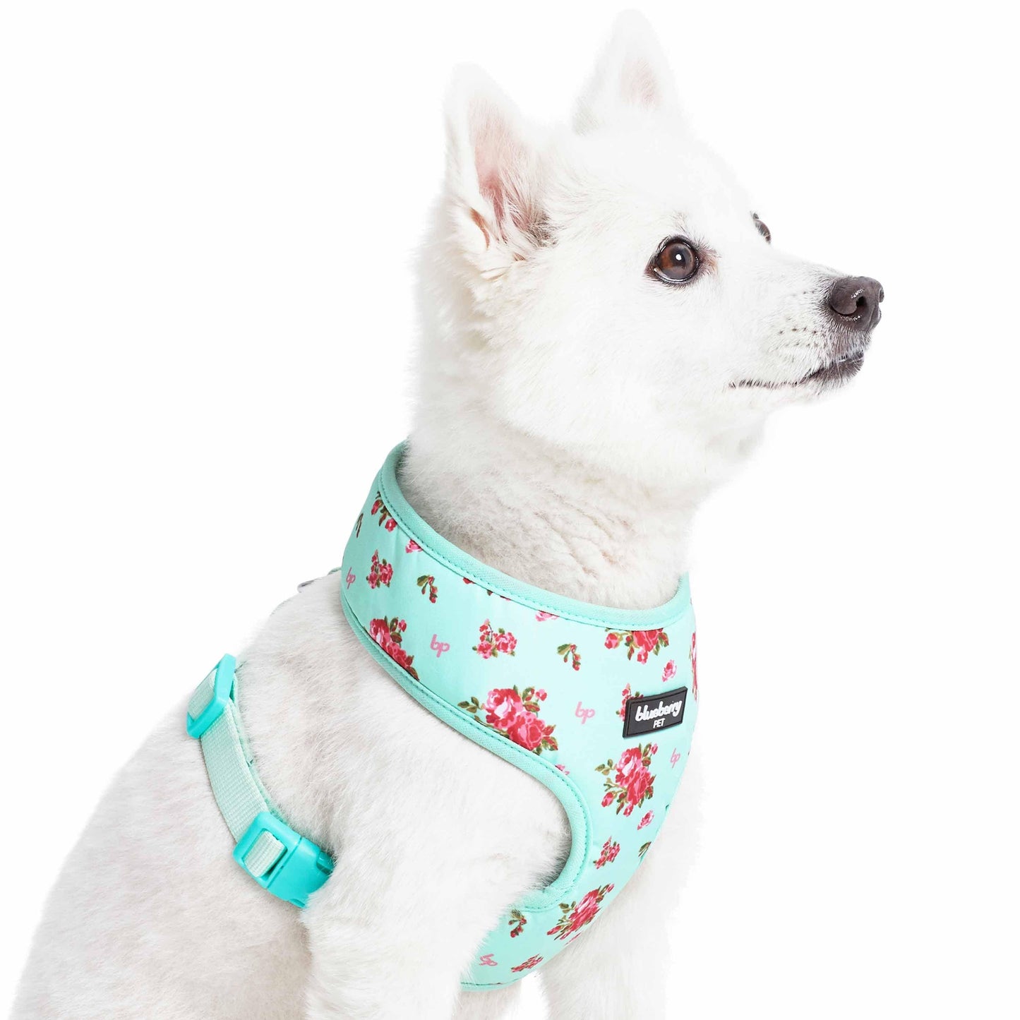 Chaleco arnés para perros con diseño floral de Petal Paws