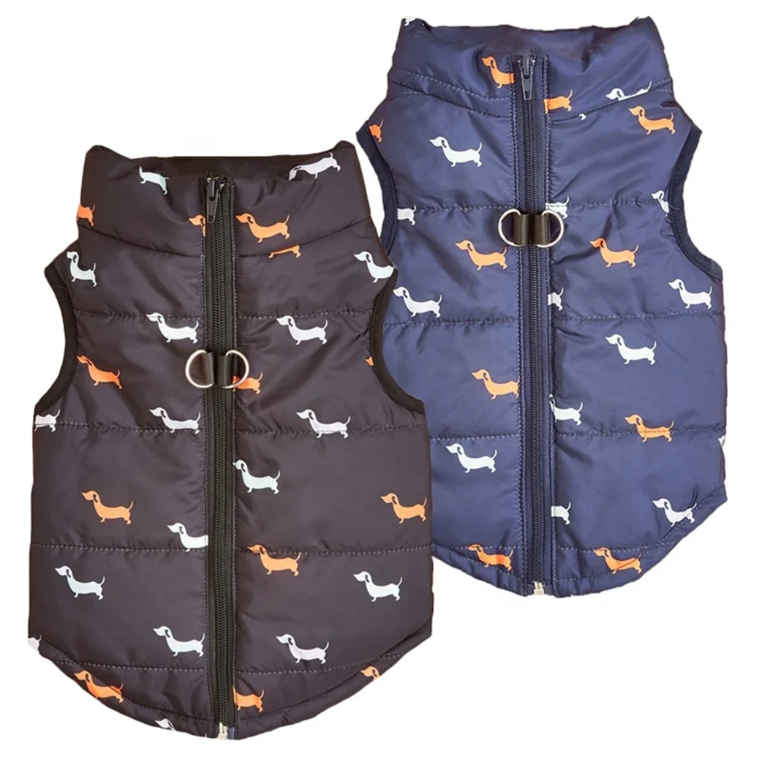 Doxie Dog Vest