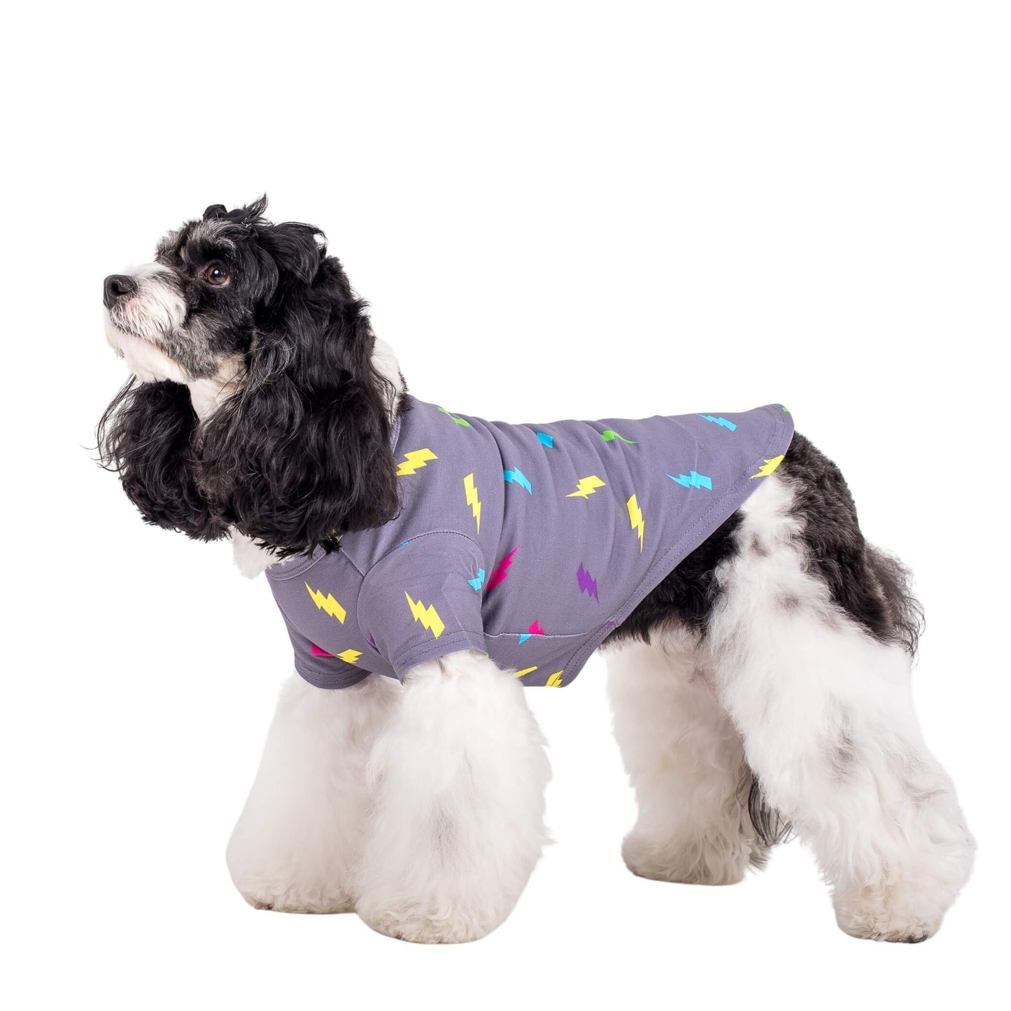 Electric Energy Dog Shirt