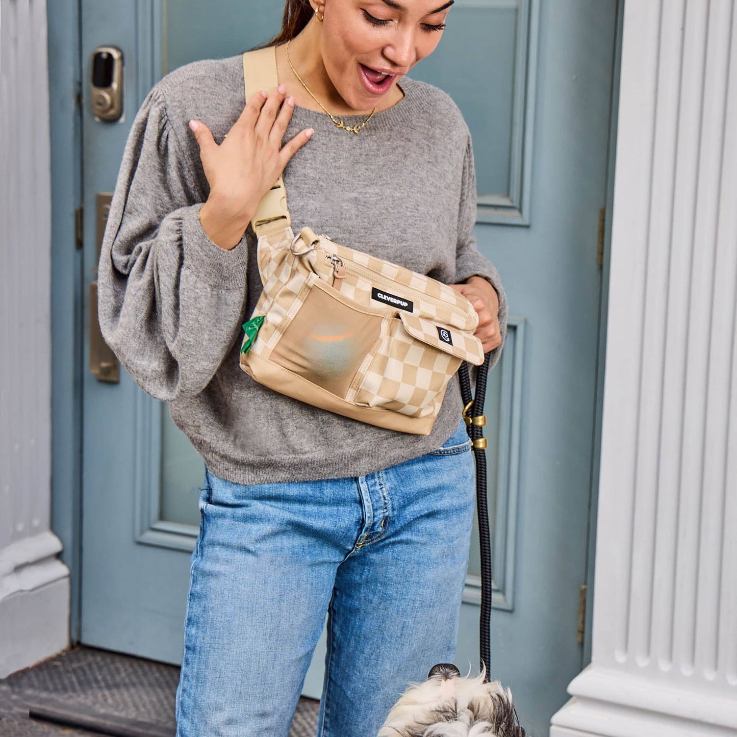 Dog Walk & Train Sling Bag - Check
