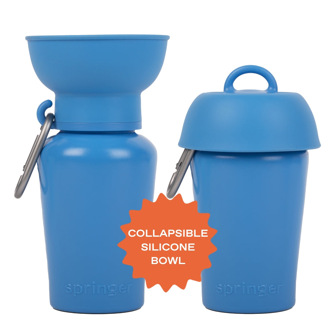 Flip Dog Travel Bottle 20oz - Assorted Colors