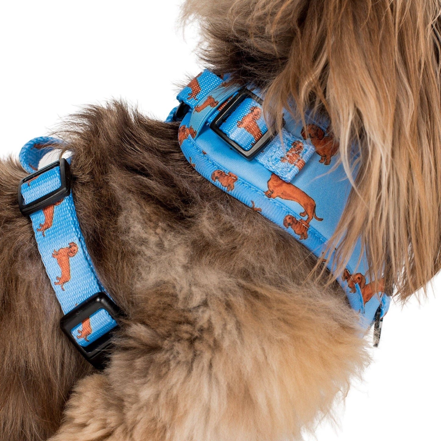 Arnés ajustable para perros Dachshund