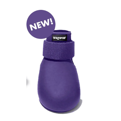 WagWellies® Wellington - Assorted Colors