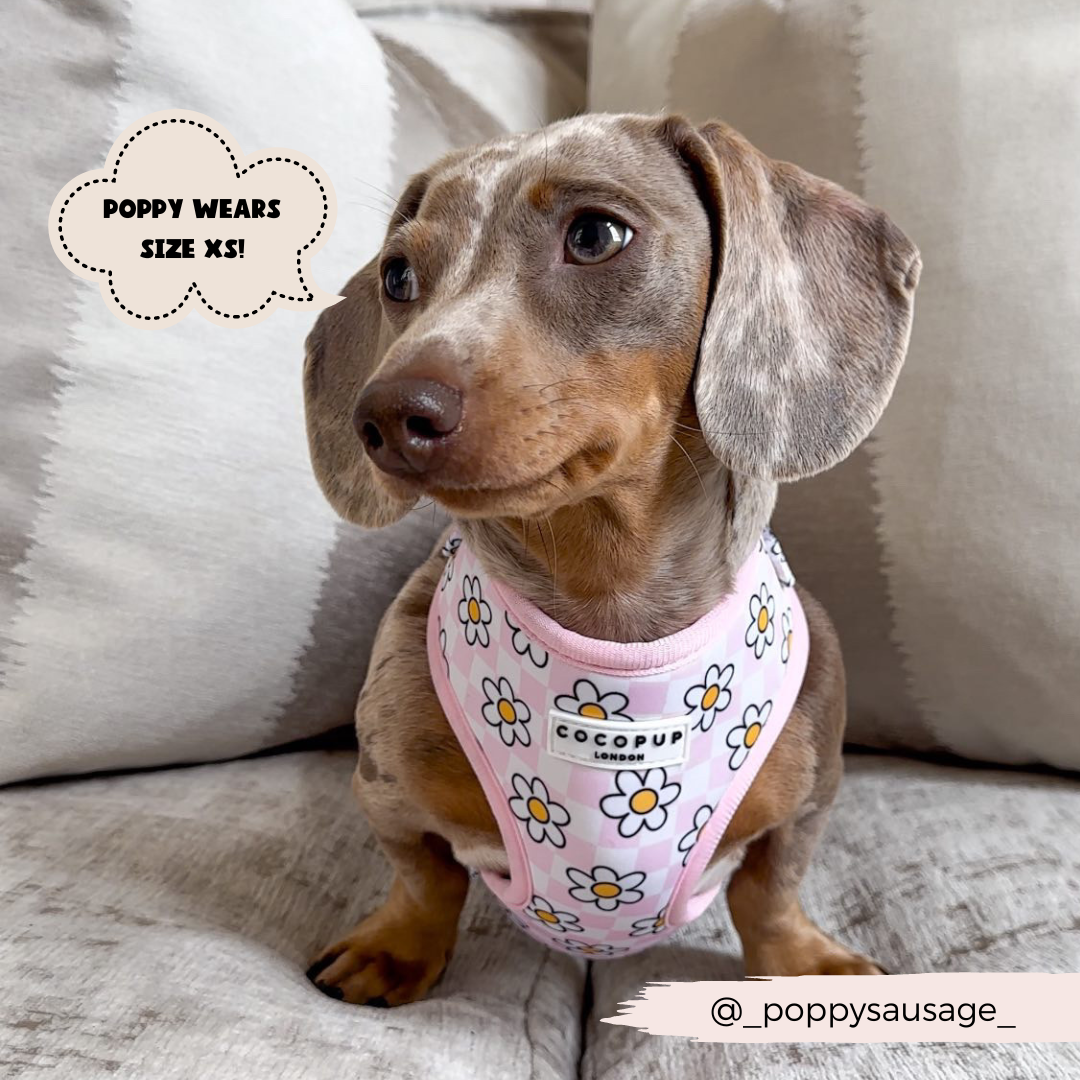 Daisy Gingham Rave Adjustable Harness