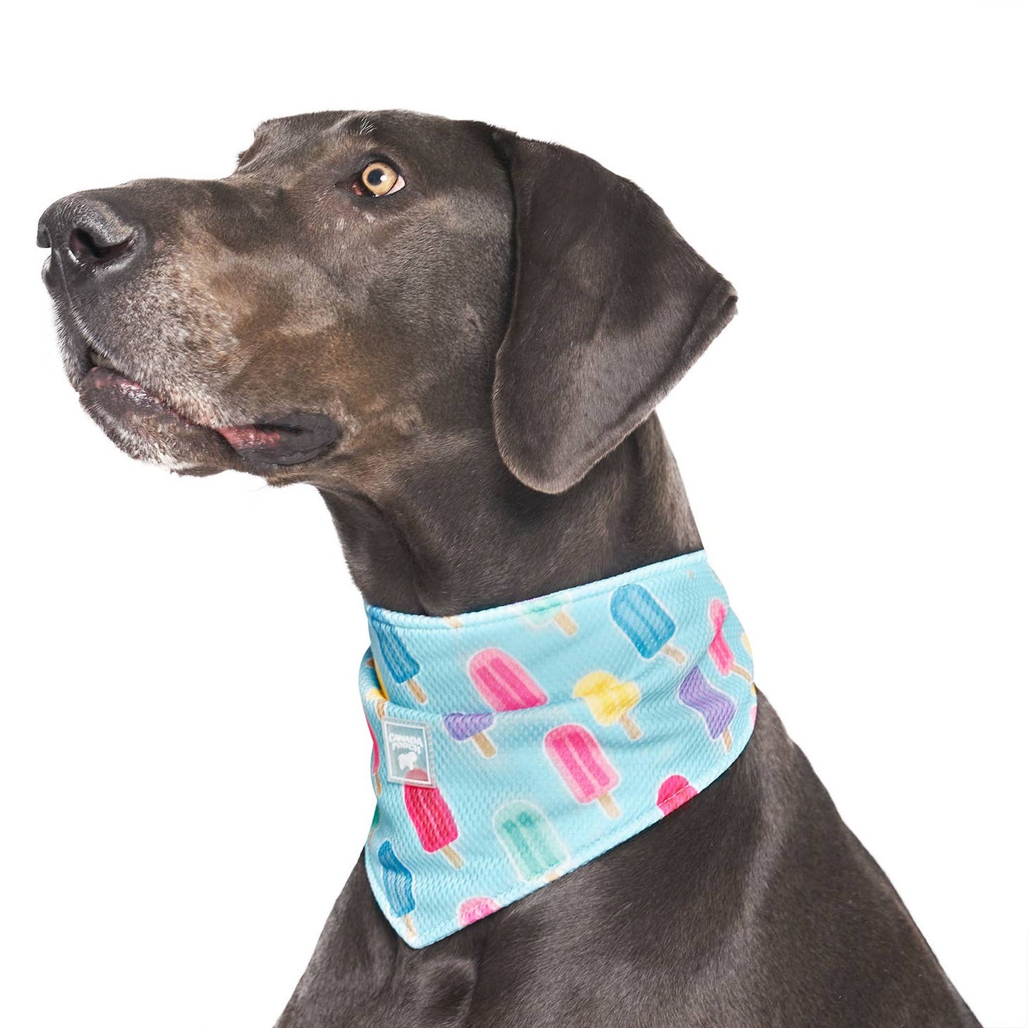 Chill Seeker Cooling Bandana - Popsicles