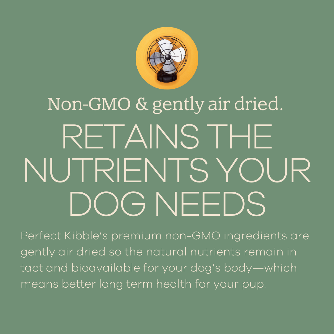 Perfect Kibble Air-Dried Dog Food - Coconut Chicken - Topper Size