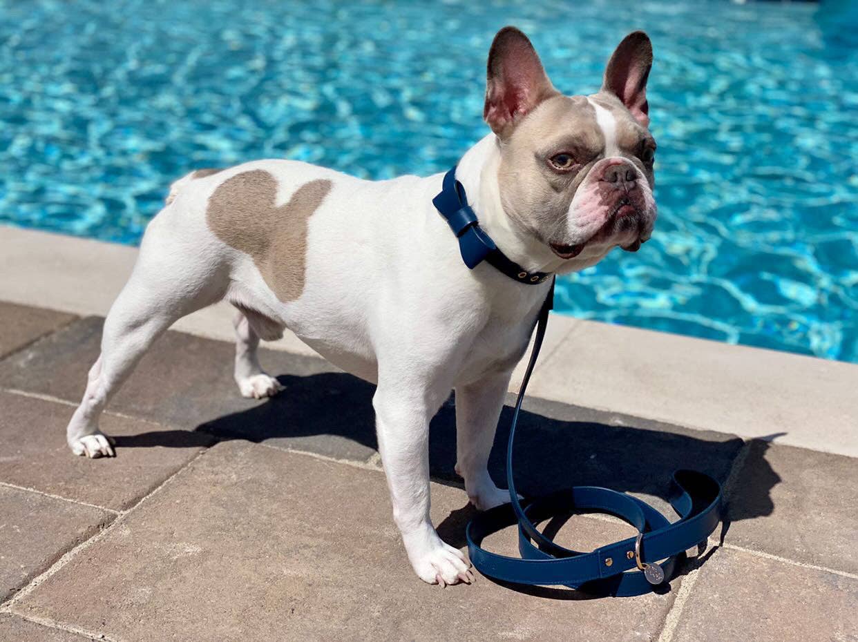 Conjunto de collar y correa para perros Signature - Azul marino
