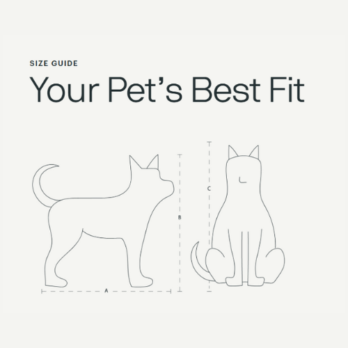 Tavo Maeve ISO Car Seat Only