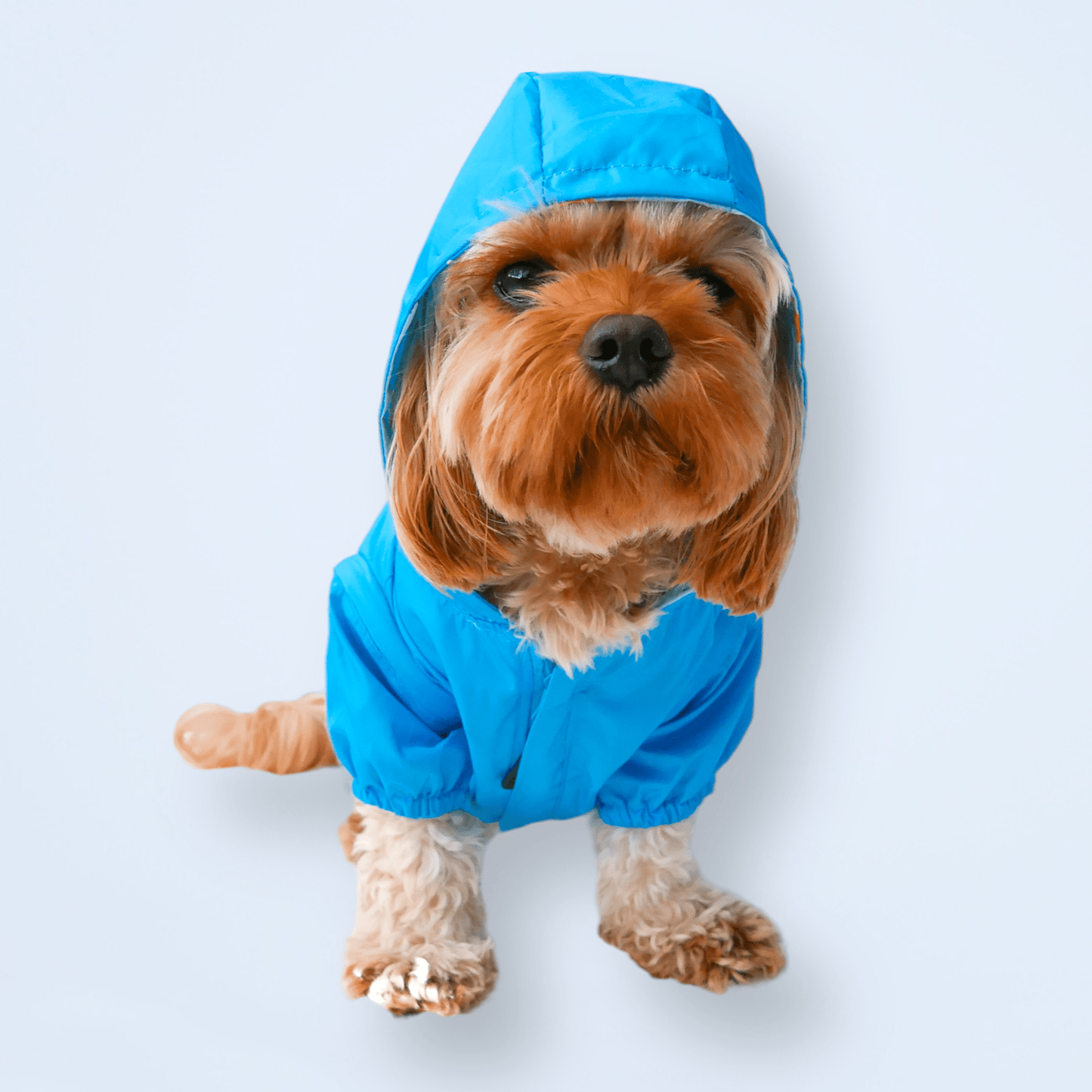Chubasquero reversible para perros Showers